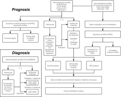 Pyroptosis-Related Gene Signatures Can Robustly Diagnose Skin Cutaneous Melanoma and Predict the Prognosis